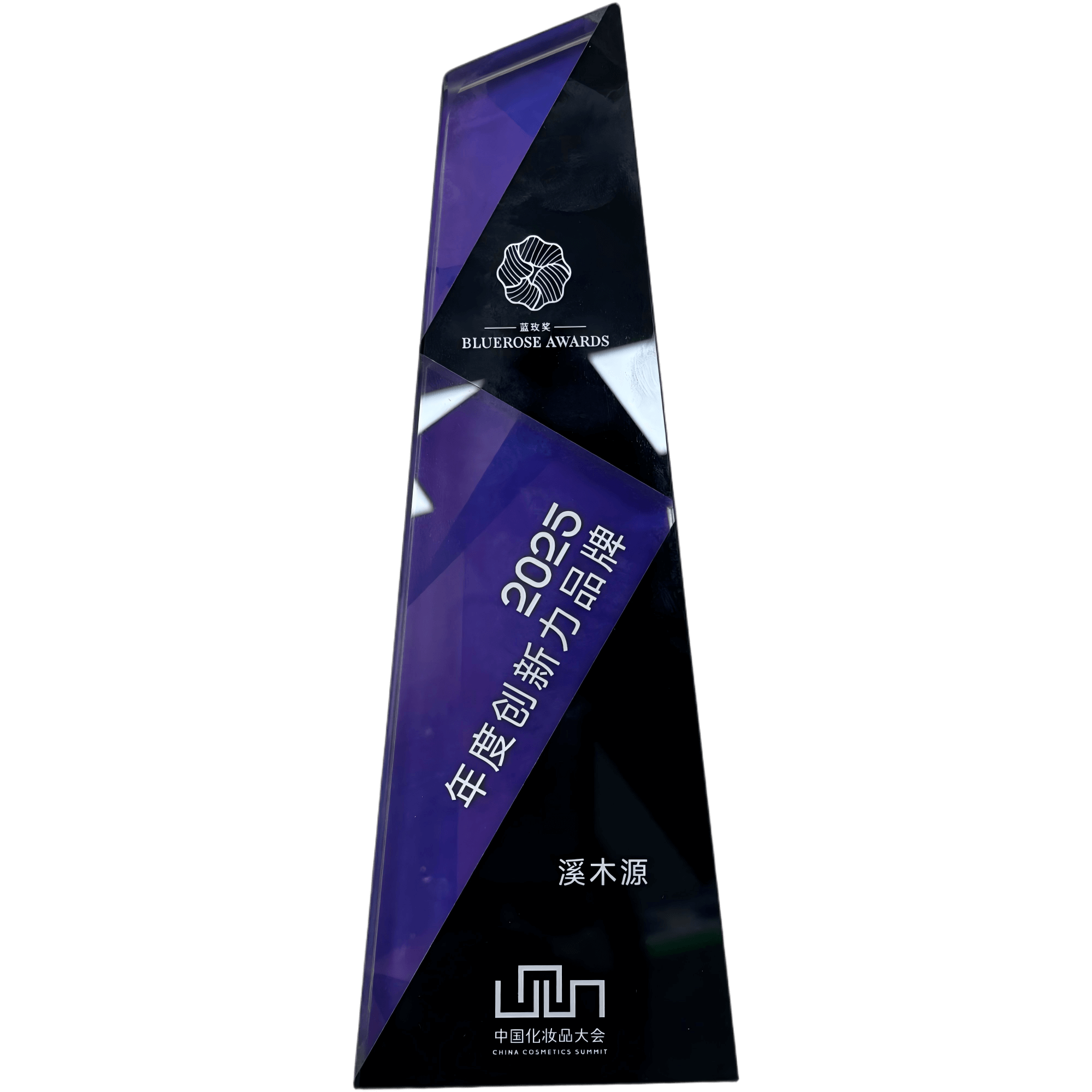 2025年度创新力品牌